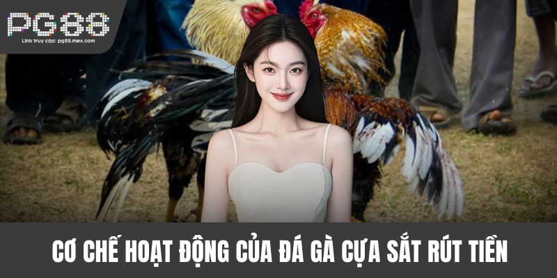 Cơ chế hoạt động của đá gà cựa sắt rút tiền