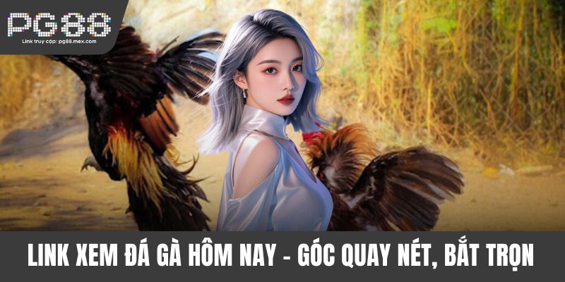Link xem đá gà hôm nay