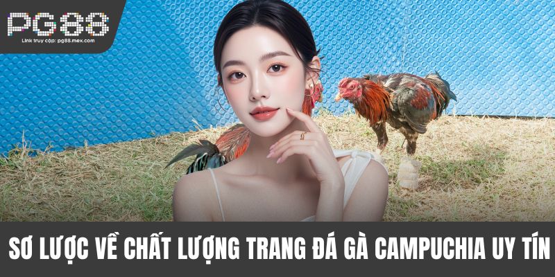 Sơ lược về chất lượng trang đá gà Campuchia uy tín